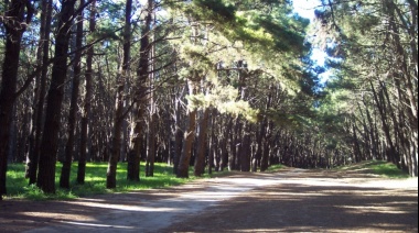 El clima en Necochea y Quequén para este martes 21 de enero