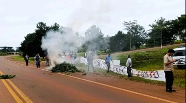 Protesta en Misiones: productores queman plantas de yerba mate