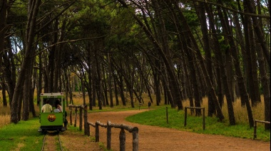 Pronóstico del Tiempo en Necochea y Quequén: Jornada Fresca para este Miércoles 12 de Marzo