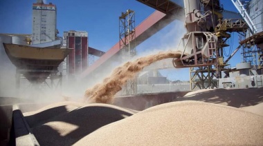 Aceiteras y cerealeras advirtieron que las medidas de Trump desatarán una "guerra comercial"