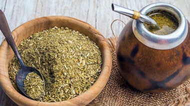 Argentina exportará yerba mate a India por primera vez