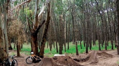 El Intendente recibió a raiders de BMX y buscan reubicar la pista