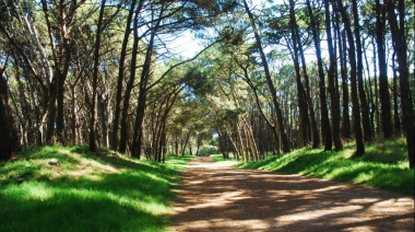Pronóstico del tiempo: miércoles con temperaturas frescas en Necochea y Quequén