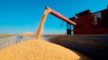 Advierten que la eliminación de retenciones solo benefició a cerealeras