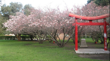 Pronóstico del clima: Viernes agradable en Necochea y Quequén