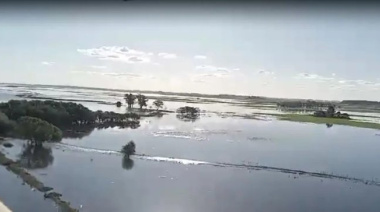 Estiman 5 millones de hectáreas afectadas por las lluvias en Buenos Aires