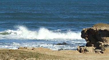 El clima en Necochea y Quequén este martes 18 de Noviembre: sin lluvias, máxima de 21C