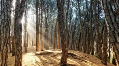 Alivio térmico con riesgo de tormentas para Necochea y Quequén