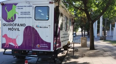 El Quirófano Móvil de castraciones se encuentra operativo en la zona del Parque