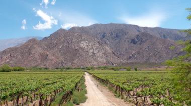 La Justicia suspendió la derogación de la Ley de Tierras del mega DNU