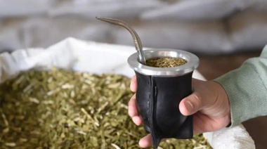 Día Nacional del Mate: Celebrando una Tradición Argentina