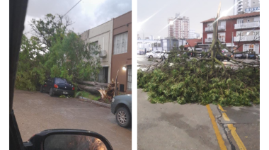 Alerta por Vientos Fuertes en Necochea: Ráfagas de Hasta 69 km/h se Esperan para el Miércoles