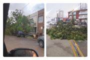 Alerta por Vientos Fuertes en Necochea: Ráfagas de Hasta 69 km/h se Esperan para el Miércoles