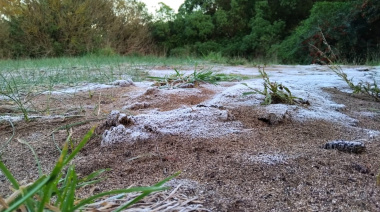Clima en Necochea y Quequén: Miércoles Fresco con Posibles Chaparrones y Viento Sur