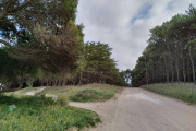 Viernes con Máxima de 18° en Necochea y Quequén