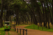 Pronóstico del Tiempo: Lunes con Lluvias y Vientos Fuertes en Necochea y Quequén