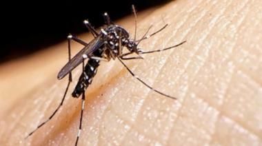 Dengue: son casi 67 mil los casos en la provincia y hay brotes en 54 distritos