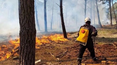 Por la irresponsabilidad de un loberense, se quemaron 15 hectáreas en Arenas Verdes