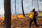 Por la irresponsabilidad de un loberense, se quemaron 15 hectáreas en Arenas Verdes
