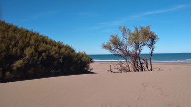 El Clima en Necochea Hoy: Lunes con Neblina Matinal y Máxima de 18°C