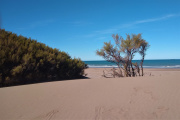 El Clima en Necochea Hoy: Lunes con Neblina Matinal y Máxima de 18°C