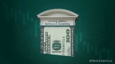 Banco Central Vende Divisas y El Gobierno Trata de Tranquilizar al Mercado Cambiario