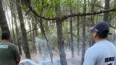 Incendio en el Parque Miguel Lillo: Bomberos y Defensa Civil Actúan con Rapidez