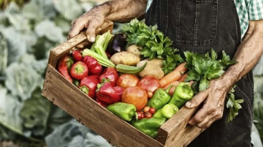 Agroalimentos: el consumidor pagó 3,6 veces más que el productor en noviembre