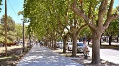 Convenio para mejorar el arbolado urbano en Necochea