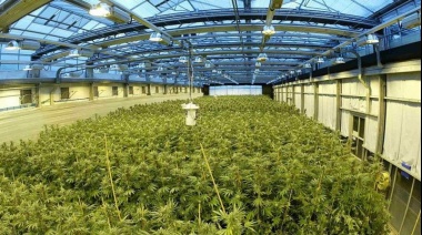 Las ventajas que tienen las casas construidas con cannabis