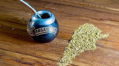 Argentina Lanza La Primera Escuela Dedicada Al Estudio De La Yerba Mate