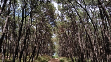 Se viene el Desafío del Parque en Necochea