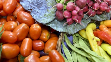 Por incremento de costos, los precios de los agroalimentos se multiplicaron por 3,5 veces en octubre