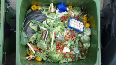 Proponen Ley Para Frenar El Desperdicio De Alimentos Ante El Desechado De Más De 16 Millones De Toneladas Anuales