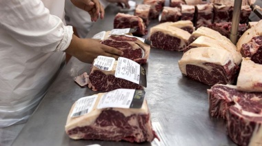 El Gobierno suspendió por 30 días las exportaciones de carne vacuna