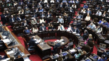 Emergencia En Discapacidad: Diputados Aprueba Ley Con Amplia Mayoría Pese A Rechazo Oficialista