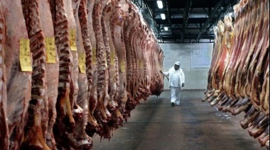 “No más carne desde Argentina”: el mensaje de la secretaria de Agricultura de Trump en plena guerra comercial