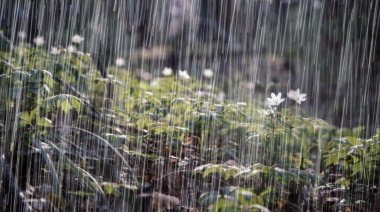 Clima Hoy En Necochea Y Quequén: Jueves Con Posibles Lluvias En La Mañana Y Máxima De 17°