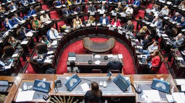 Revés al Ejecutivo: Diputados aprobó la nulidad del Decreto que suspendió la Ley de Emergencia en Discapacidad