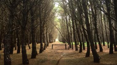 Clima Hoy En Necochea Y Quequén: Jueves Fresco Y Mayormente Nublado Con Vientos Fuertes Por La Noche