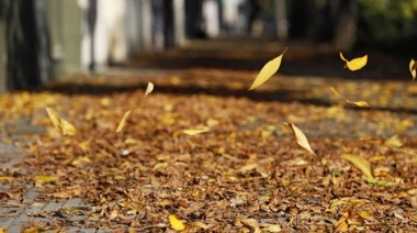 Clima en Necochea y Quequén: Lunes fresco, parcialmente nublado y ventoso por la tarde, con máxima de 18°C