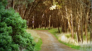 Clima En Necochea Y Quequén: Jueves Fresco Y Sin Lluvias, Con Máxima De 13°