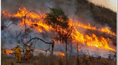 Condenado a Tres Años de Prisión por Incendio Forestal en Córdoba