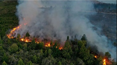 El Gobierno atribuye los incendios en la Patagonia a "terroristas disfrazados de mapuches" y busca endurecer las penas