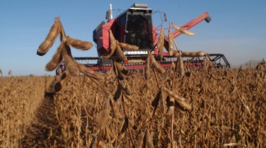Exportaciones agroindustriales crecieron un 7 % en 2024 impulsadas por granos, harina y aceites