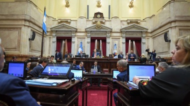 El Senado aprobó la suspensión de las PASO y modificaciones al Código Penal