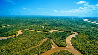 La Amazonia enfrenta su peor año de incendios en 2024