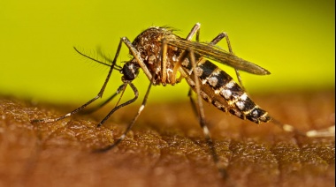 Primer Caso Autóctono de Dengue en Santa Fe
