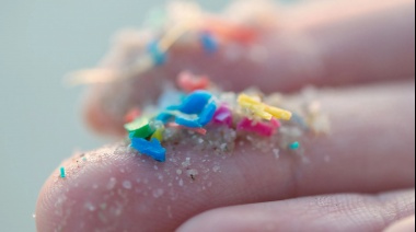 Microplásticos en el cerebro: un estudio revela niveles alarmantes