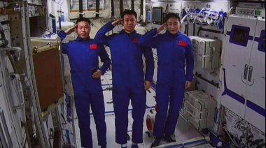 Semillas de Olivo Mutadas en el Espacio, Germinan en China